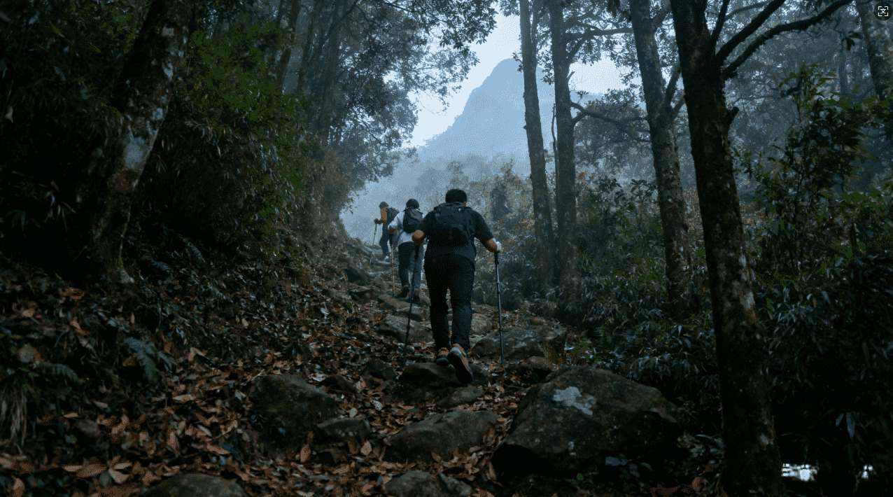详细介绍飞机加速器下载方法与使用教程全攻略